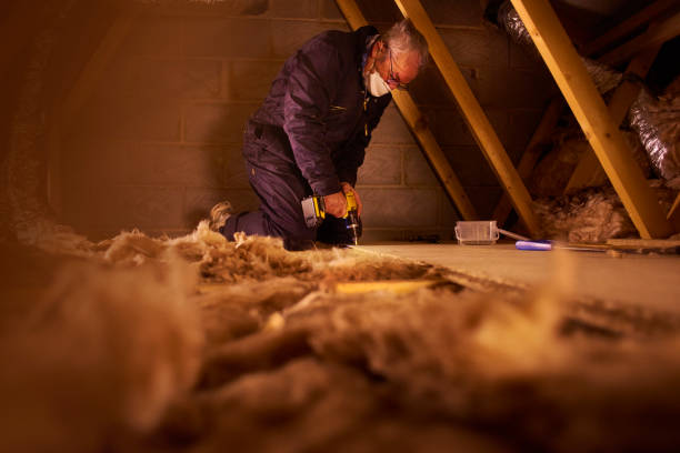 Best Attic Insulation Installation  in Osawatomie, KS